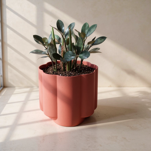 Fluted Ceramic Pillar Planter against cream microcement with warm steel-window grid shadows