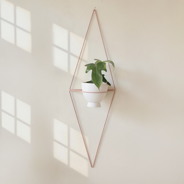 Diamond-Form Wire Wall Planter against a cream wall with warm natural side light