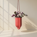 Stoneware Ceramic Hanging Planter
