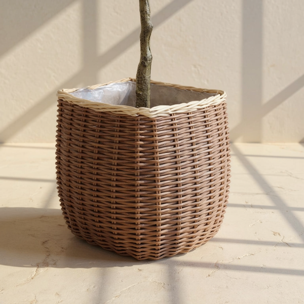 Woven Rattan Floor Planter Basket against cream microcement with warm steel-window grid shadows