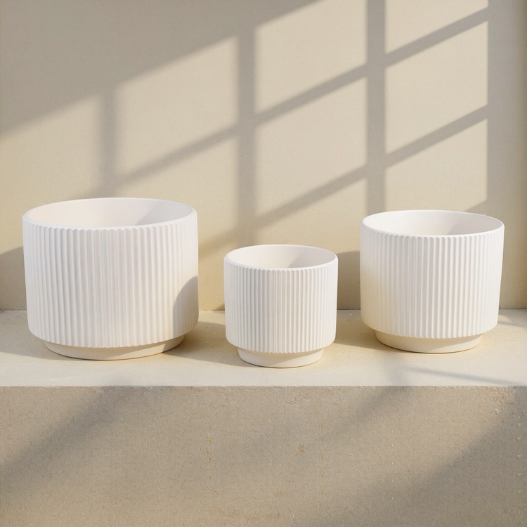 Ribbed Stoneware Planter Set against cream microcement with warm steel-window grid shadows