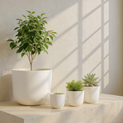 Matte White Round Planter Set against cream microcement with warm steel-window grid shadows