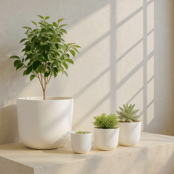 Matte White Round Planter Set against cream microcement with warm steel-window grid shadows