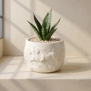 Warm White Gypsum Horse Relief Planter against cream microcement with steel-window grid shadows