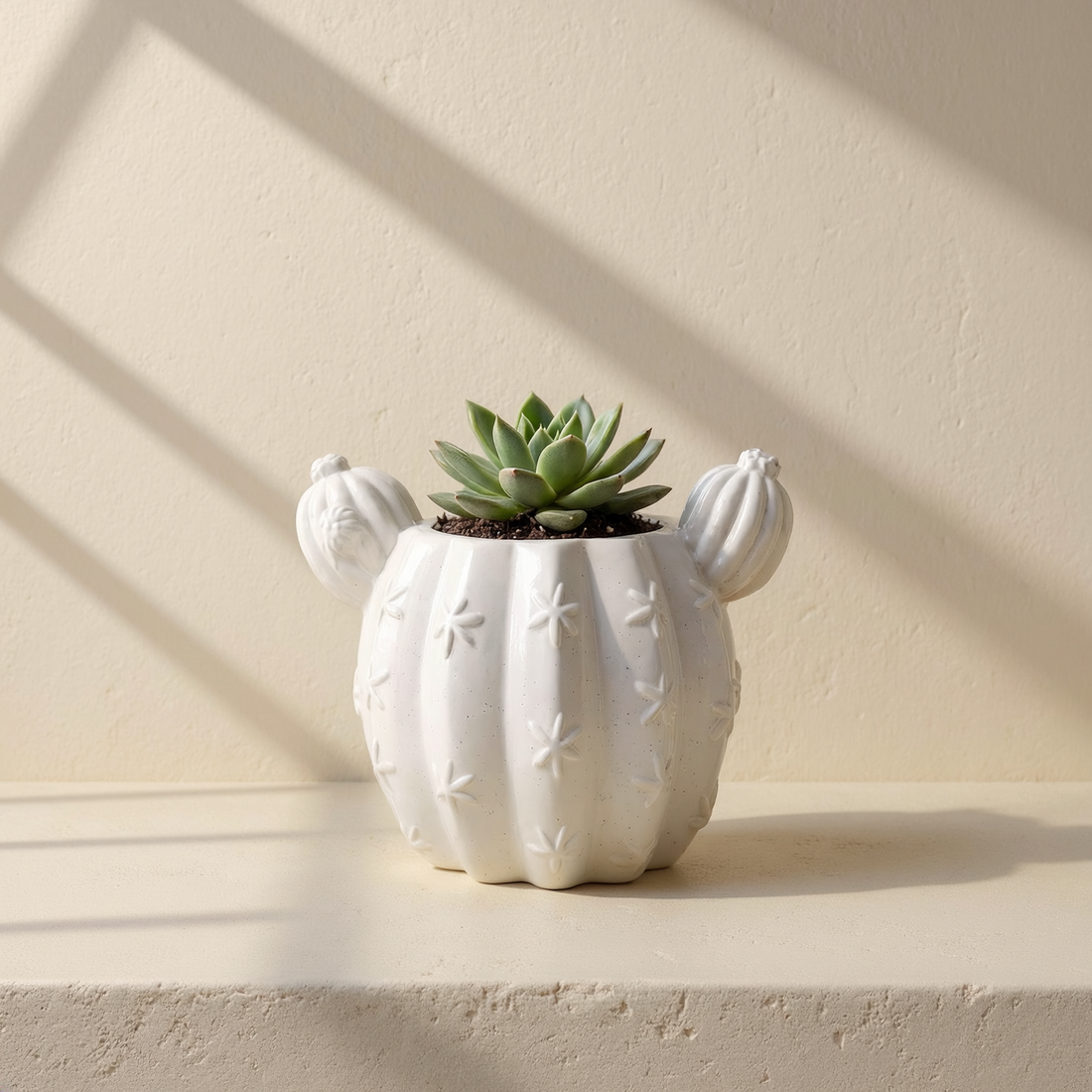 White Gypsum Barrel Cactus Mini Planter against cream microcement with steel-window grid shadows.