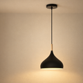 Teardrop Aluminum Pendant Light