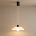 Matte Black Glass Dome Pendant Light