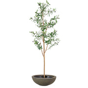 Faux Olive Tree with Stone-Finish Planter