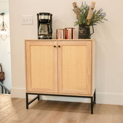Rattan Door Two-Door Storage Cabinet