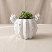 Sculptural Gypsum Barrel Cactus Planter