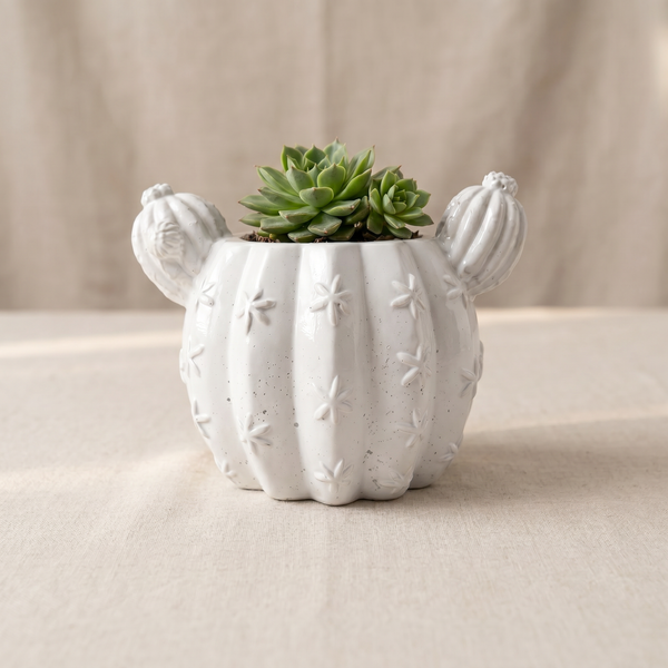 Close-up detail of Sculptural Gypsum Barrel Cactus Planter