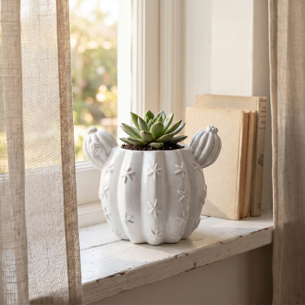Front view of Sculptural Gypsum Barrel Cactus Planter