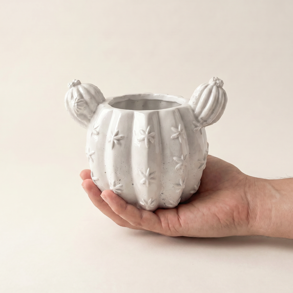 Sculptural Gypsum Barrel Cactus Planter in a styled room setting