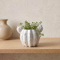 Sculptural Gypsum Barrel Cactus Planter
