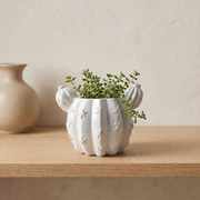 Sculptural Gypsum Barrel Cactus Planter