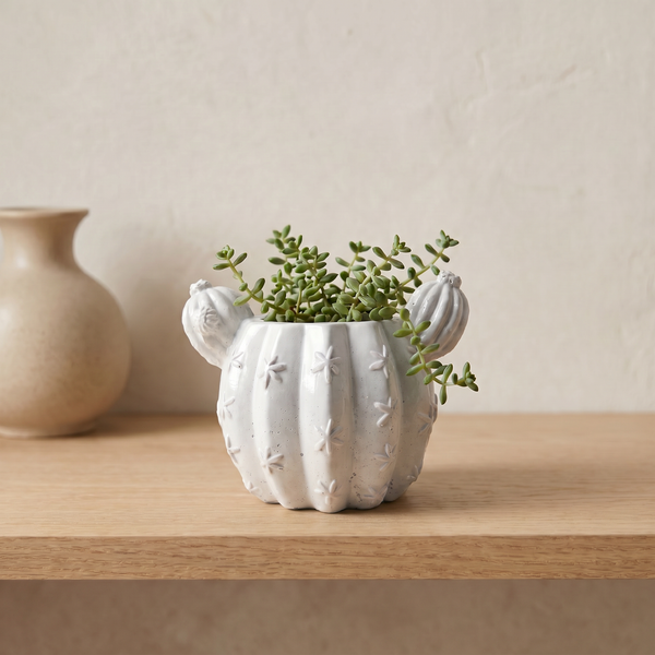 Sculptural Gypsum Barrel Cactus Planter
