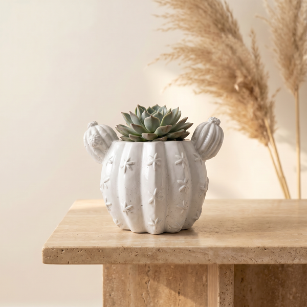 Top view of Sculptural Gypsum Barrel Cactus Planter