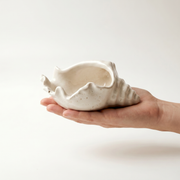 Cast Gypsum Conch Shell Catchall Bowl