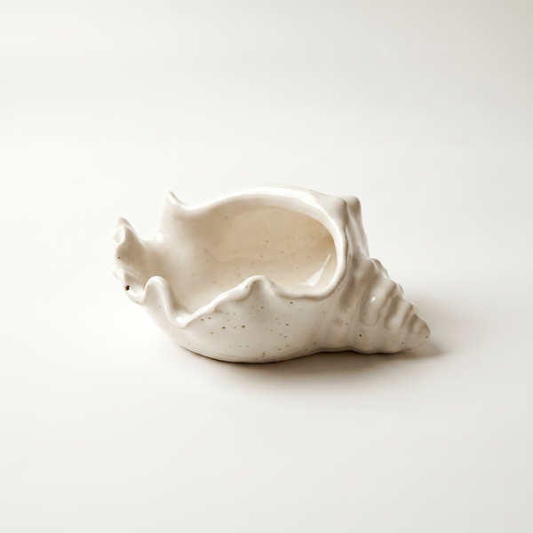 Front view of Cast Gypsum Conch Shell Catchall Bowl