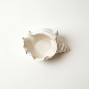 Cast Gypsum Conch Shell Catchall Bowl