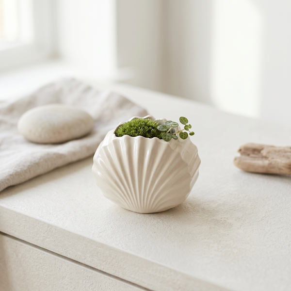 Gypsum Clam Shell Mini Planter