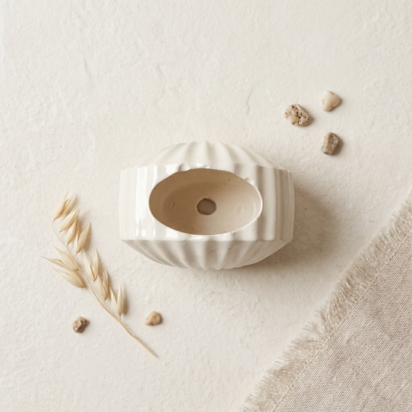 Gypsum Clam Shell Mini Planter