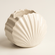 Gypsum Clam Shell Mini Planter
