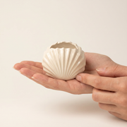 Gypsum Clam Shell Mini Planter