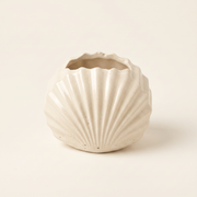 Gypsum Clam Shell Mini Planter