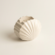 Gypsum Clam Shell Mini Planter