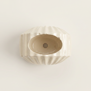 Gypsum Clam Shell Mini Planter