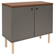 Mid-Century Two-Door Accent Cabinet