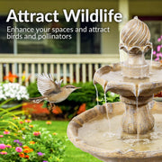 Two-Tier Solar Outdoor Water Fountain