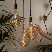 Brass Pendant Lights with Voronoi II Bulbs, Set of 3