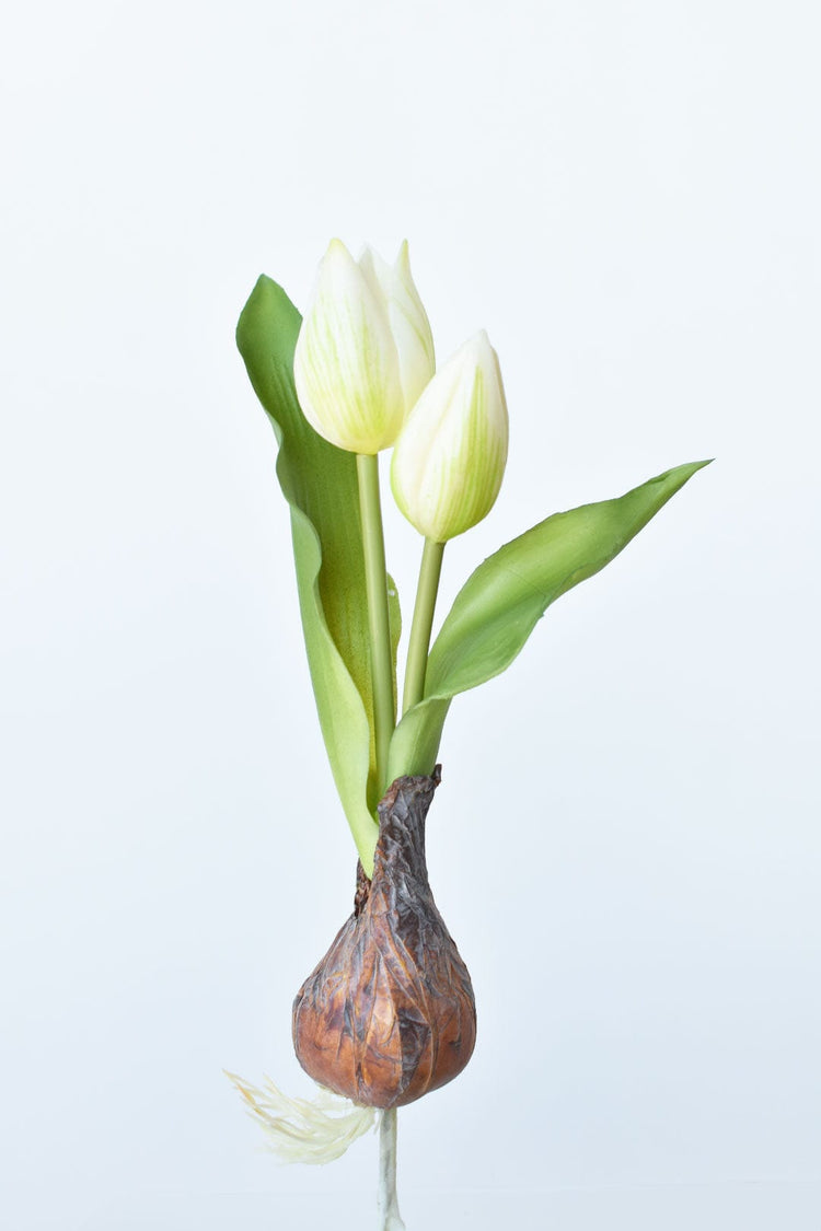Real-Touch White Tulip Bulb Pick — Real-touch tulip pick with textured bulb base, cream and green tones