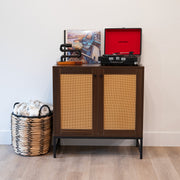Rattan Door Two-Door Storage Cabinet