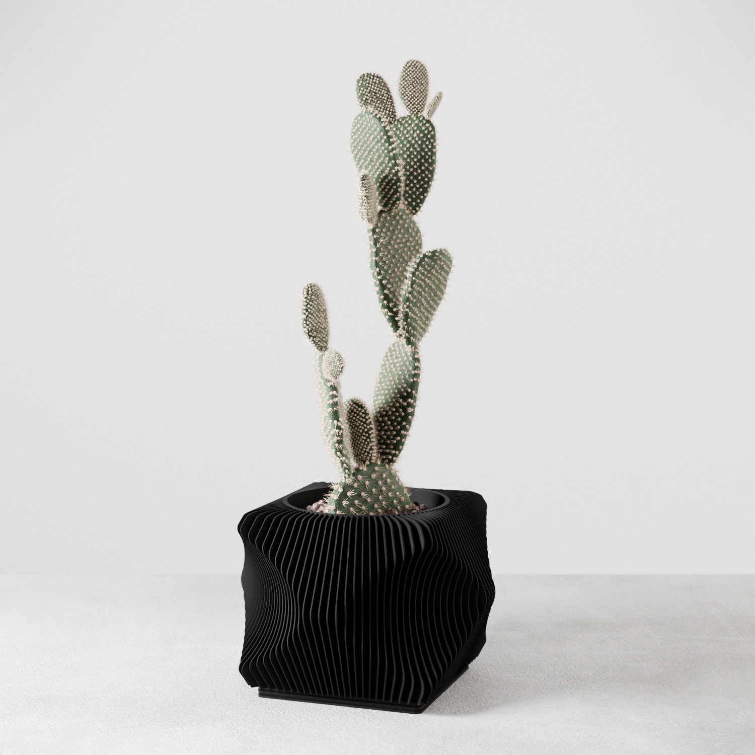 Xenova Planter-1